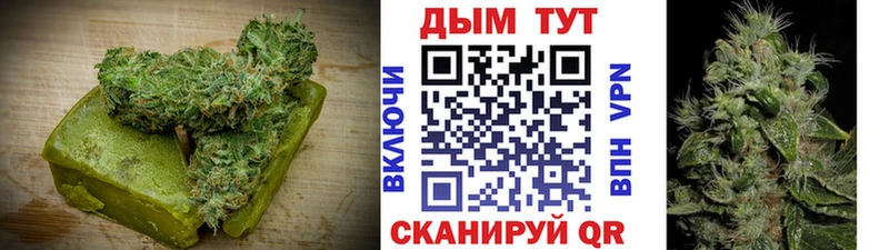 blacksprut вход Грязовец Печенье с ТГК конопля закладка