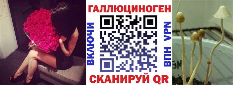 Галлюциногенные грибы Psilocybe  магазин    shop какой сайт  Грязовец 